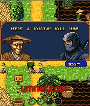 game pic for Kamikaze 2: The Way of Ninja